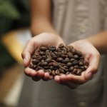 segreti caffè giovanelli